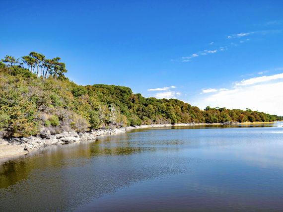 Saint Julien des Landes camping le Pin Parasol